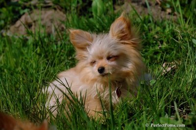 May15_08_339.JPG
