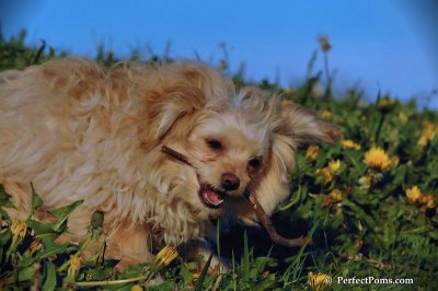 May16_08_239.JPG