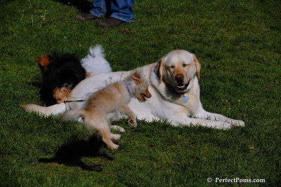 May23_08_068.jpg