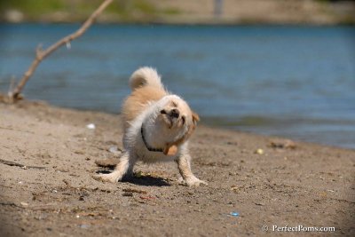 May24_08_162.jpg
