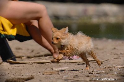 May24_08_175.jpg