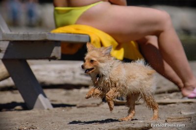 May24_08_176.jpg