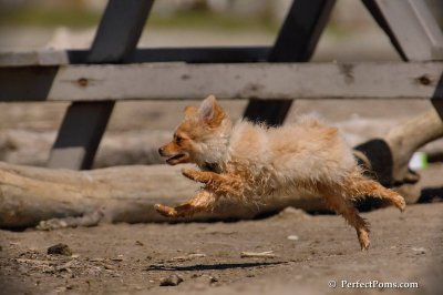 May24_08_179.JPG