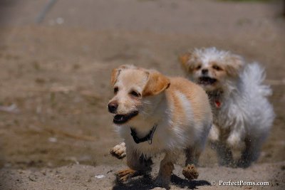 May24_08_193.jpg