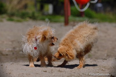 May24_08_067.JPG