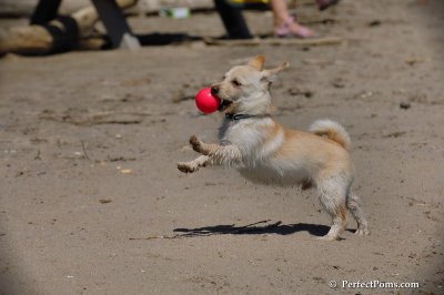 May24_08_077.JPG