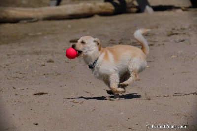 May24_08_078.JPG