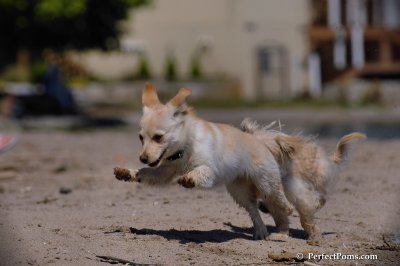 May24_08_086.JPG