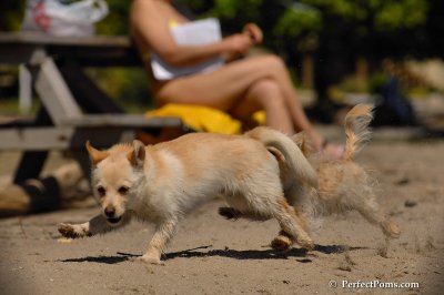 May24_08_088.JPG