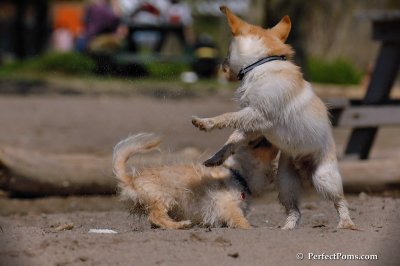 May24_08_106.JPG