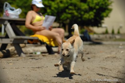 May24_08_110.JPG