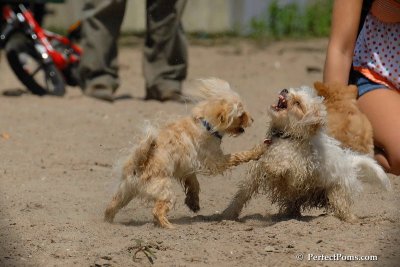 May25_08_160.jpg