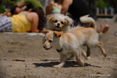 May25_08_098.JPG