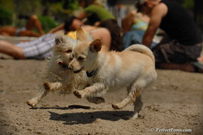 May25_08_099.JPG
