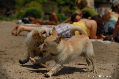 May25_08_100.JPG