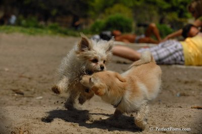 May25_08_101.JPG