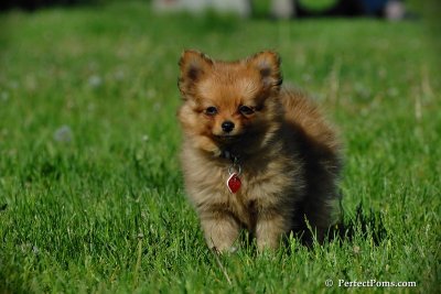 May27_08_511.JPG