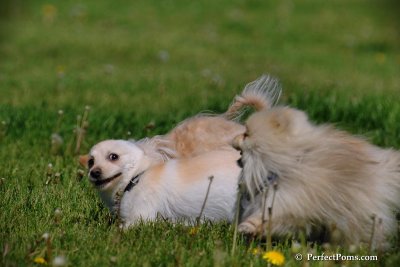 May27_08_110.JPG