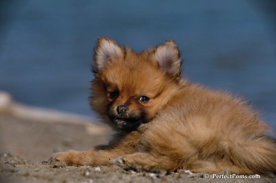 May29_08_282.JPG