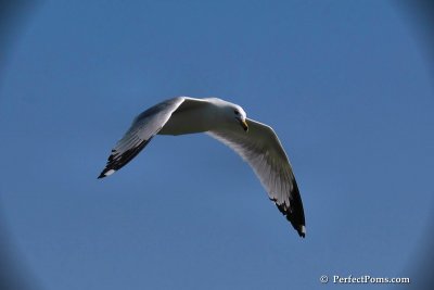 May29_08_311.JPG