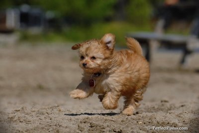 May29_08_117.JPG