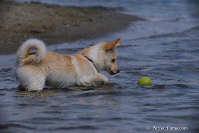 June2_08_684.JPG