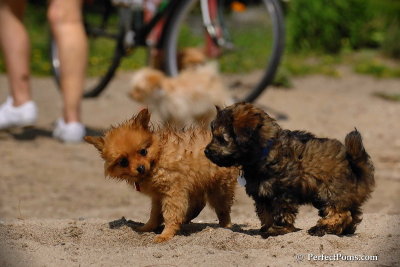 June2_08_587.JPG