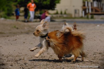 June2_08_627.JPG