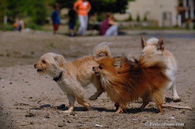 June2_08_628.JPG