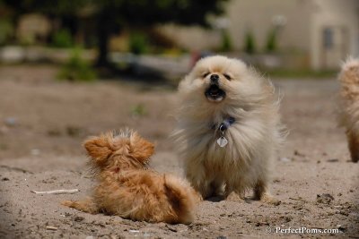 June2_08_404.JPG