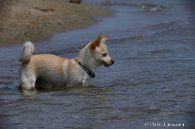 June2_08_471.JPG