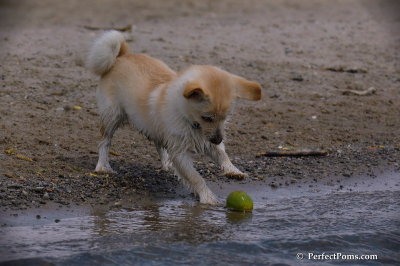 June2_08_504.JPG