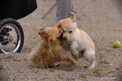 June2_08_222.JPG