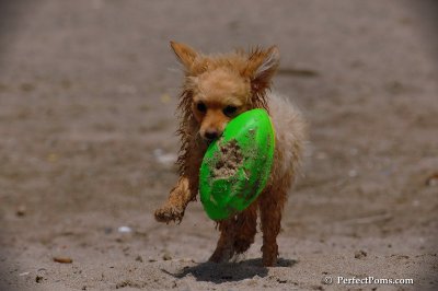 June2_08_229.JPG