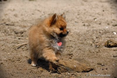 June2_08_028.JPG
