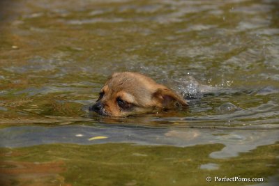 June2_08_044.JPG