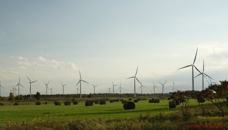 Wind Turbines 03881 copy.jpg