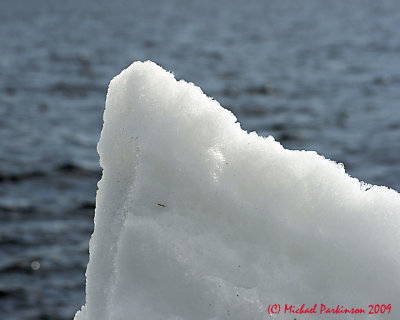 Ice Is Nice 04377 copy.jpg