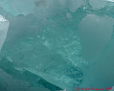 Ice Is Nice 04378 copy.jpg