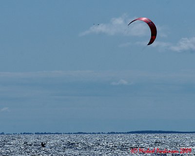 Kite Boarding 01188 copy.jpg