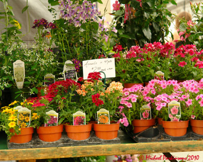 Kingston Farmers Market 03494 copy.jpg