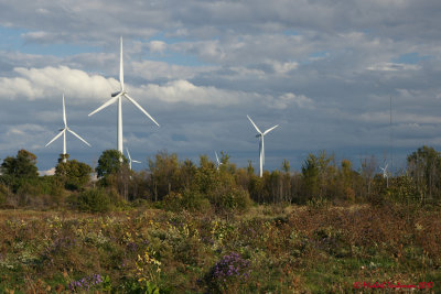 Wind Turbines 03866 copy.jpg