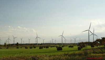 Wind Turbines 03881 copy.jpg