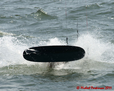 Kite Boarding 04860 copy.jpg