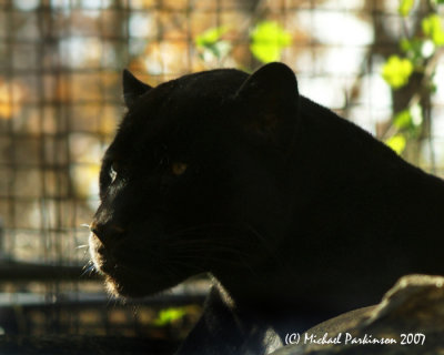 Zoo 09633.JPG