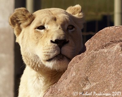 Zoo 09649.JPG