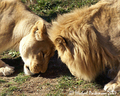 Zoo 09659.JPG