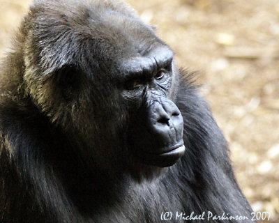 Zoo 09776.JPG