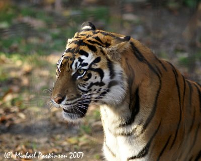 Zoo 09809.JPG