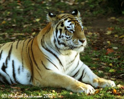 Zoo 09818.JPG